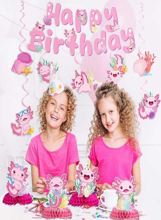 iPartyGo Axolotl Birthday Party Decorations - 12 PCs Pink Cute Cartoon Animals Happy Birthday Banner Ceiling Hanging Swirls Streamer Decor Table Honeycomb Centerpieces Favors for Kids Girls Backdrop - Image 2